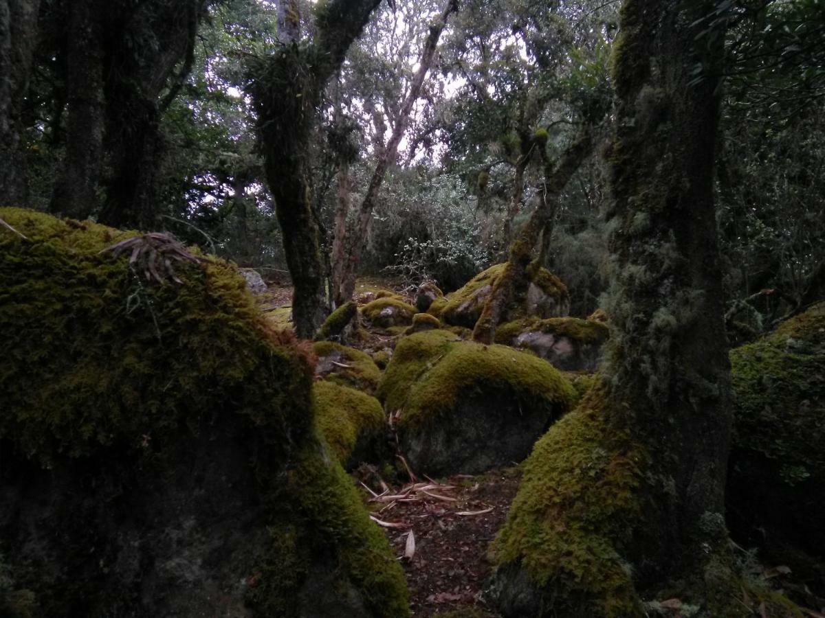 ᐉ RESERVA EL CHOCHAL DE SIECHA HOSTAL ( GUASCA, COLOMBIA ) FOTOS DE  VIAJEROS Y OFERTAS EXCLUSIVAS